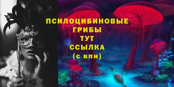 соль ск Алексин
