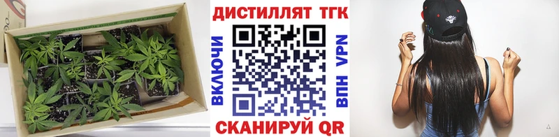 Дистиллят ТГК THC oil купить MEGA ссылка Завитинск
