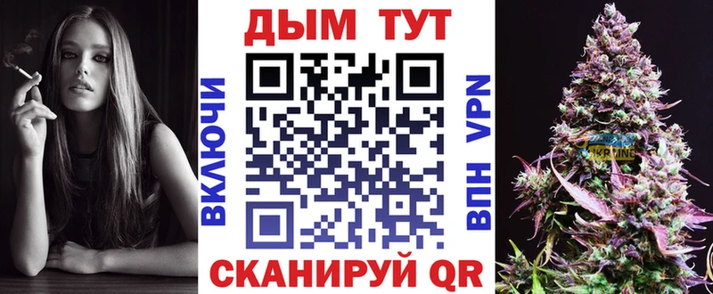 Конопля сатива  Завитинск 